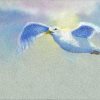 There Are No Flying Lessons